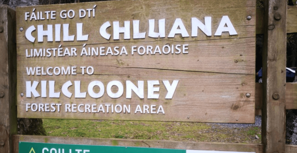 Explore the Picturesque Kilclooney Wood near Kilmacthomas
