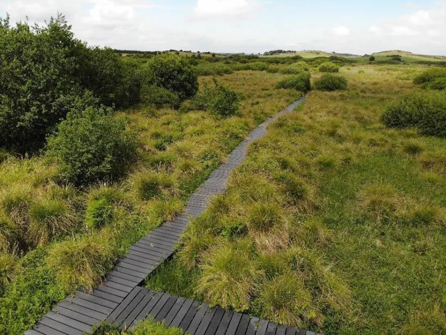 Fenor Bog boardwalk